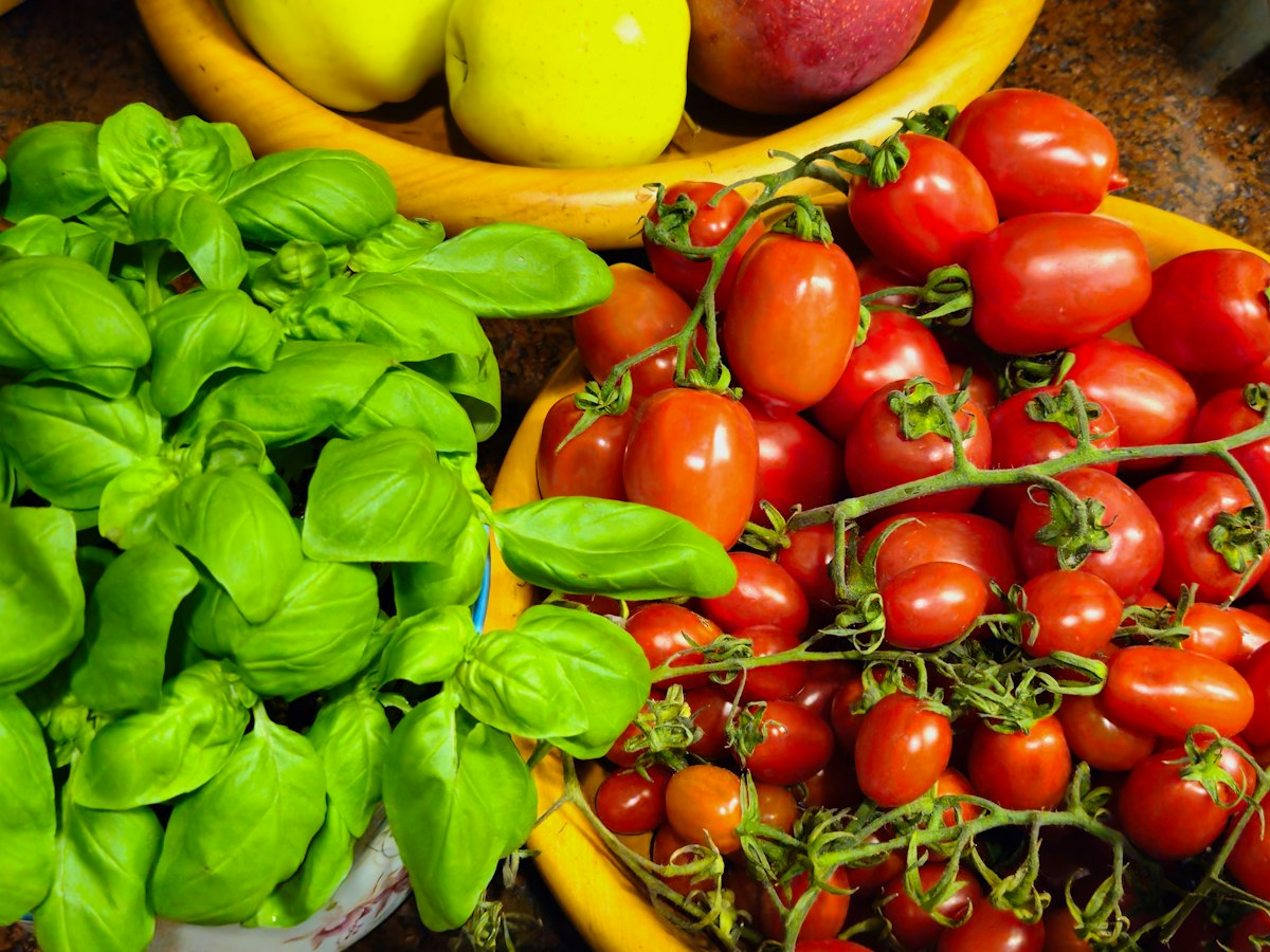 Rythme et fréquence des repas : trois repas, cinq repas, que dit vraiment la science